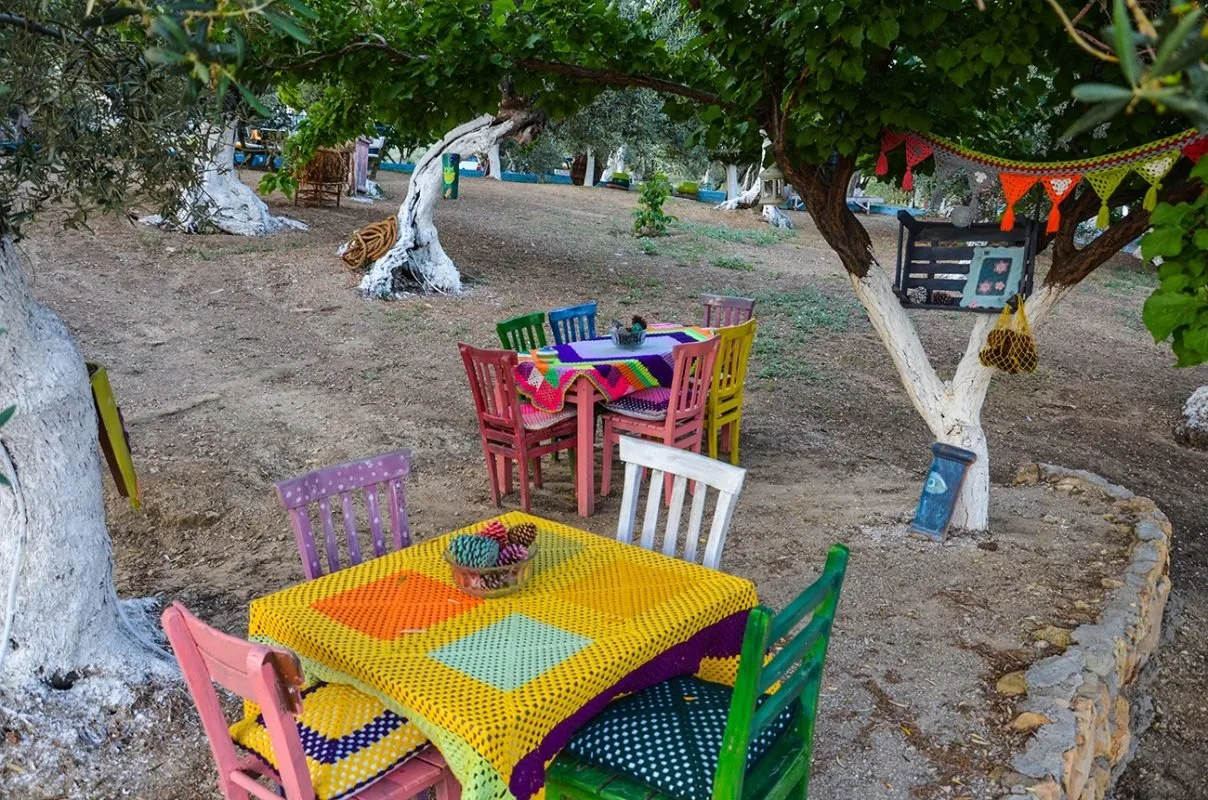 A colourful children's table and chairs under the olive trees