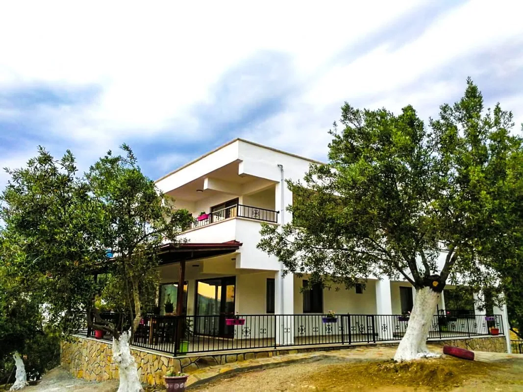 The guesthouse seen from the front, among the olive trees