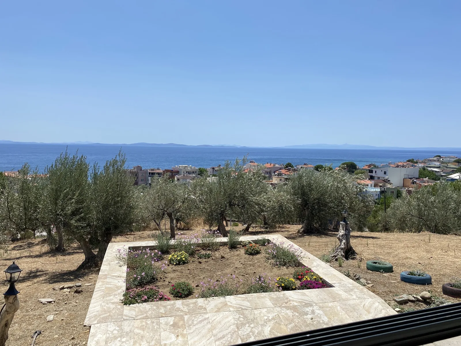Küçükkuyu and the Gulf of Edremit through the olive grove, with a stone-edged flower bed in front