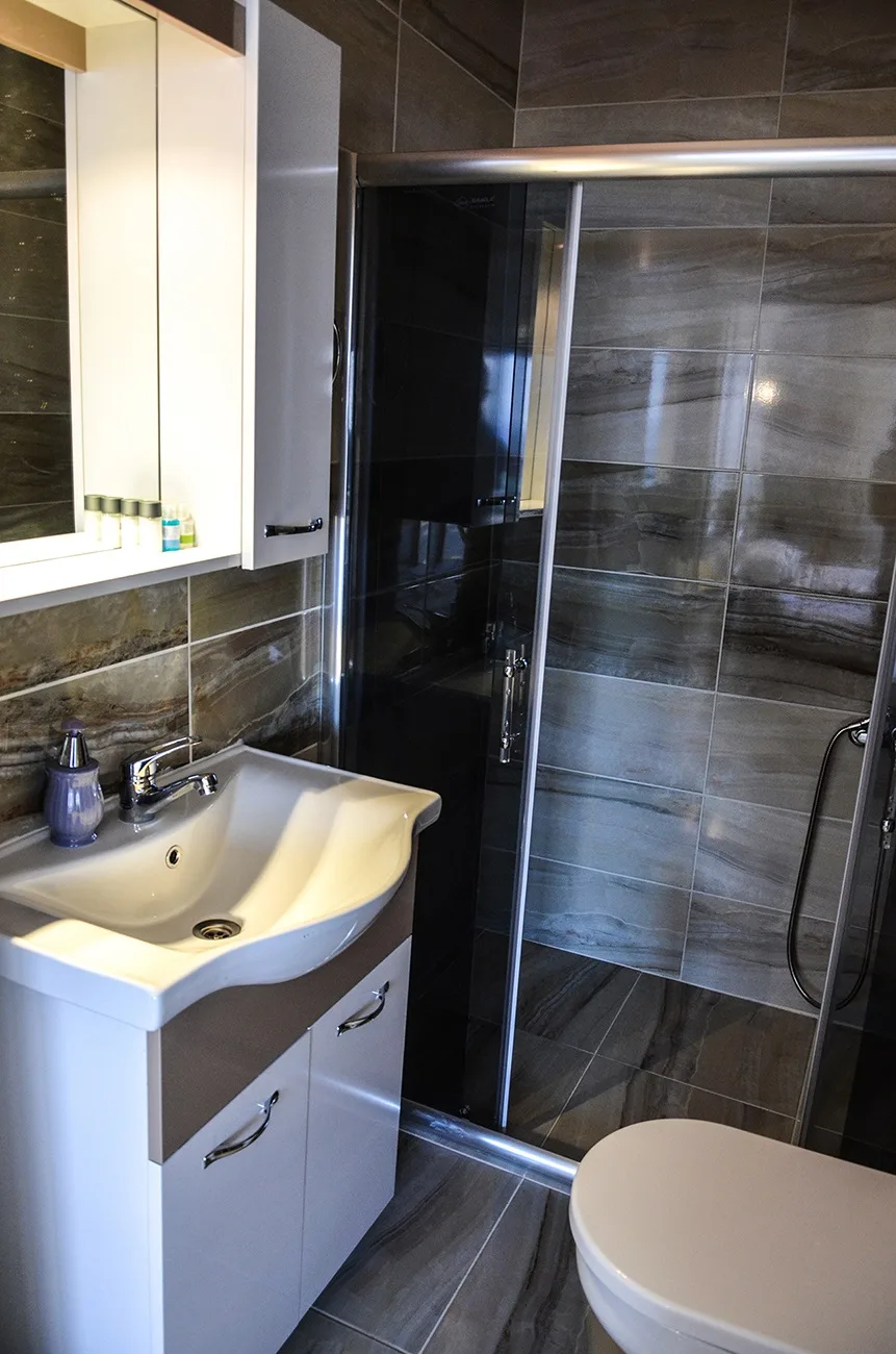 The room's bathroom: basin, shower cabin and toilet