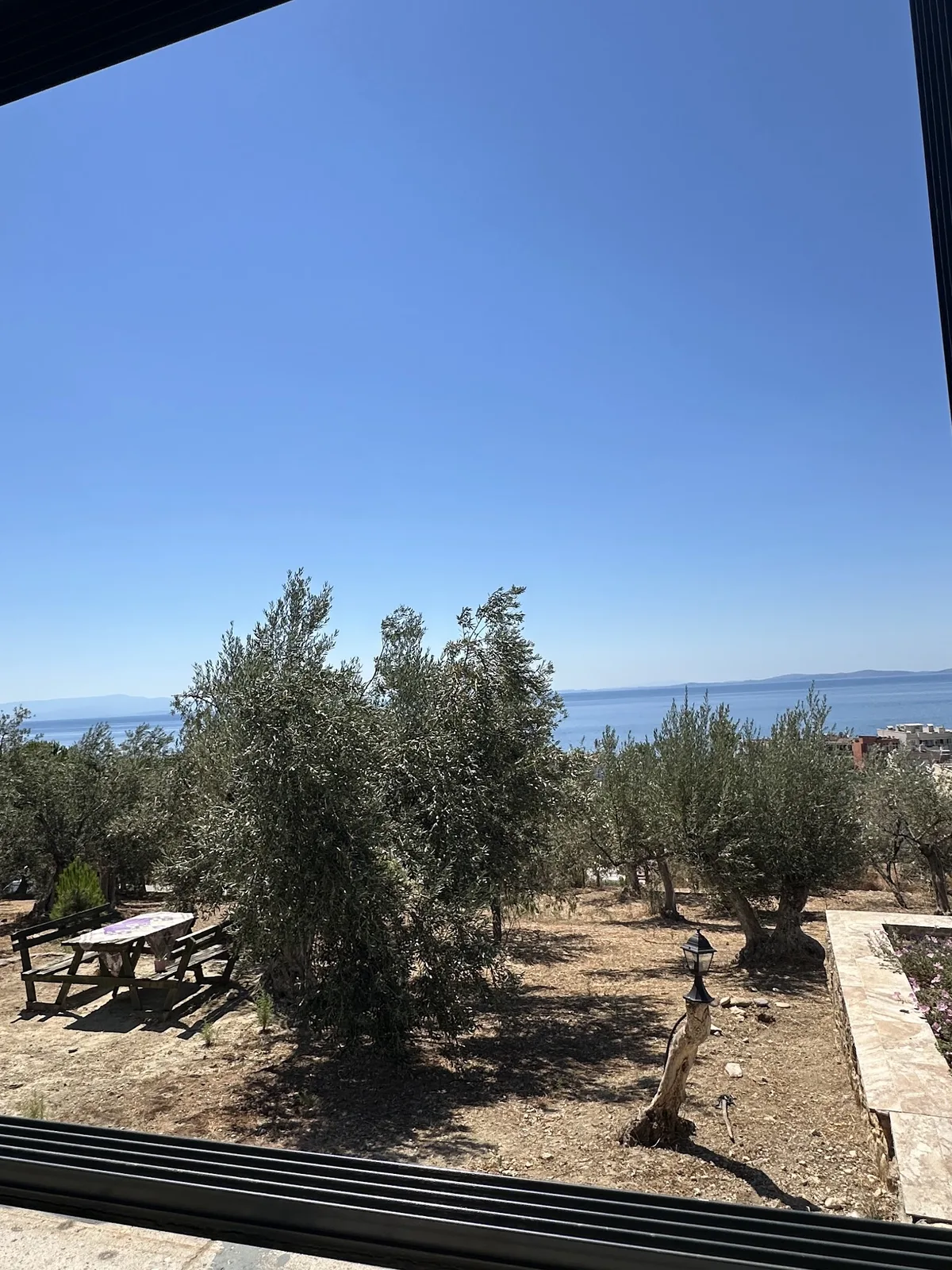 The olive grove and the Gulf of Edremit through the salon's glass front